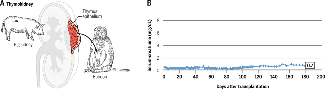 Figure 4: