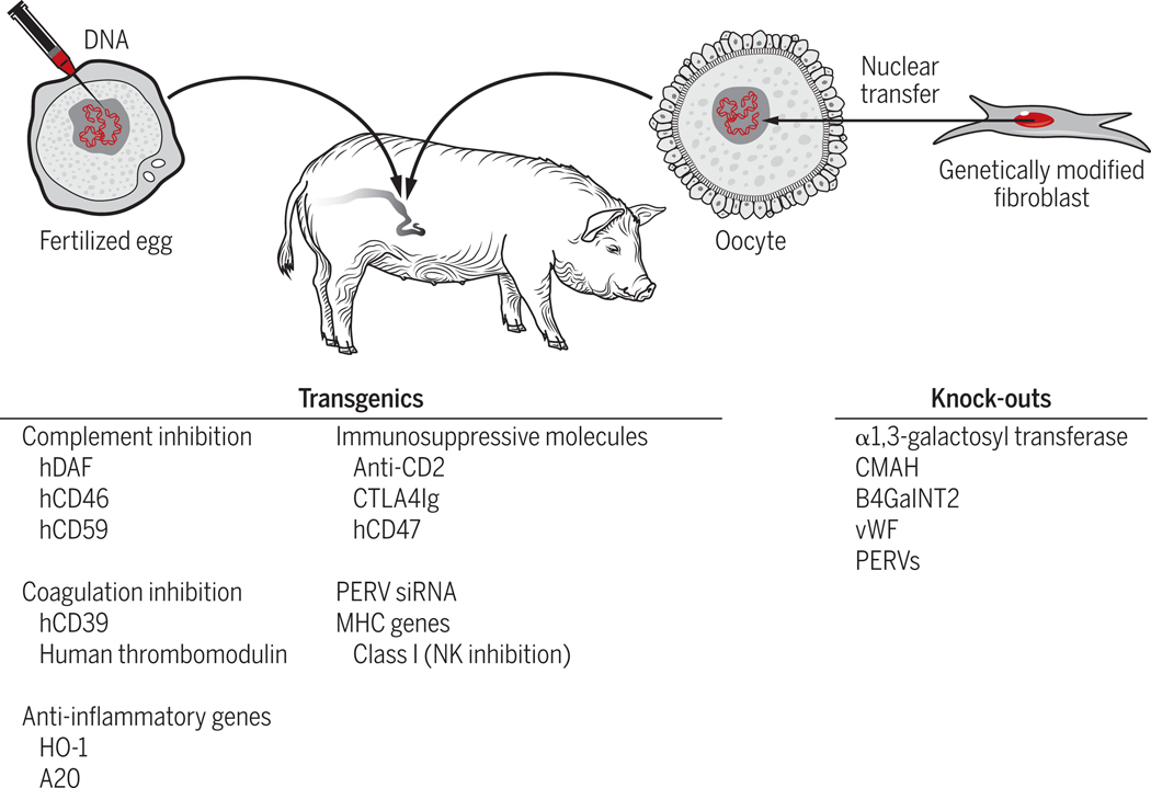 Figure 3: