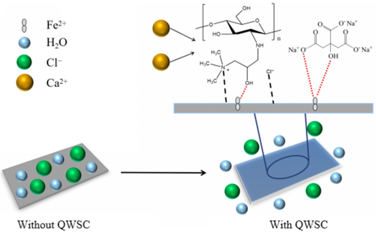 Figure 11