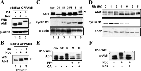 FIGURE 3.