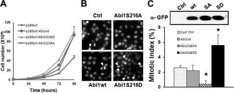 FIGURE 7.