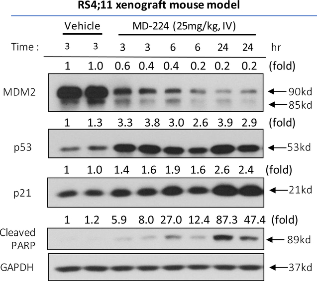 Figure 14.