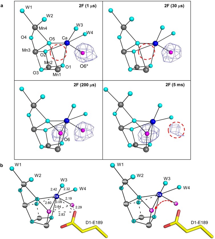 Extended Data Fig. 4