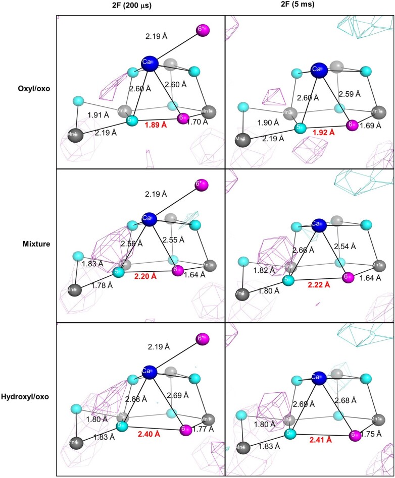 Extended Data Fig. 6