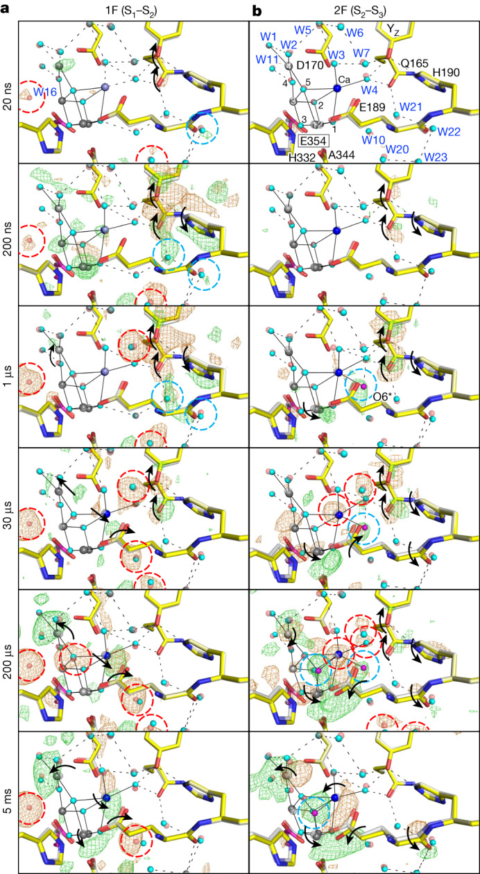 Fig. 3