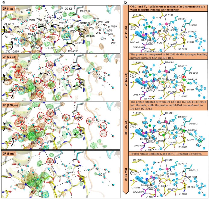 Extended Data Fig. 8