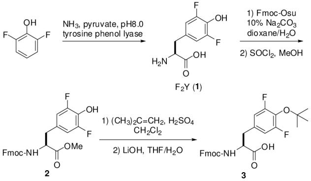 Scheme 1