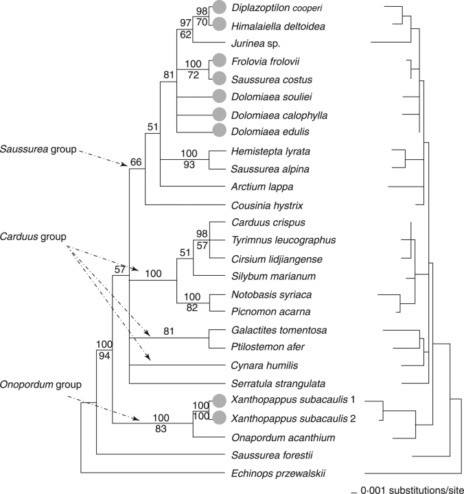 Fig. 3.