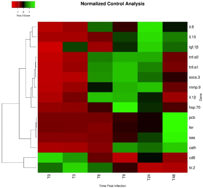 Figure 6