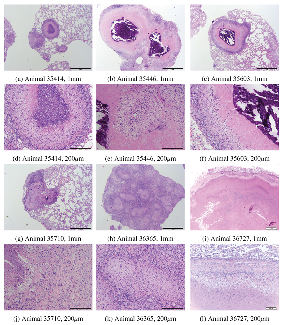 Figure 4: