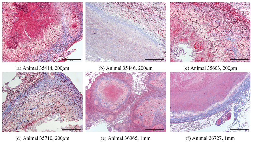 Figure 5: