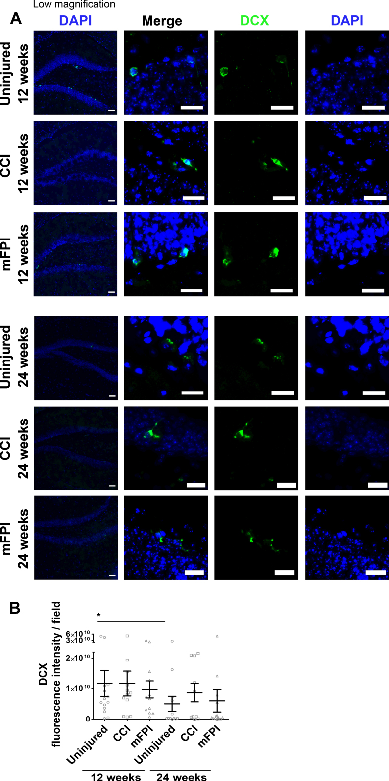 Fig. 9