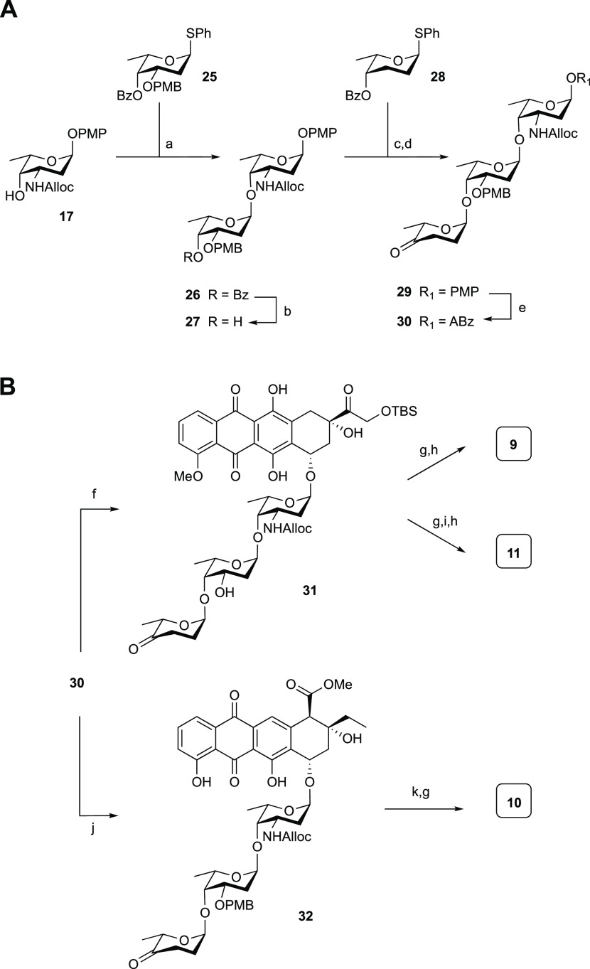 Scheme 3