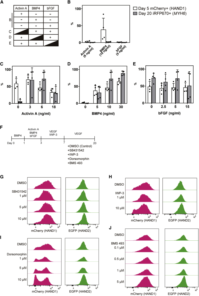 Figure 3