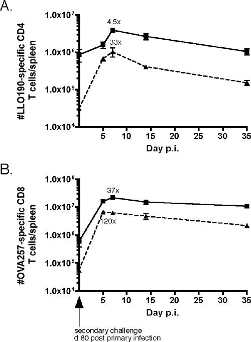 FIG. 7.