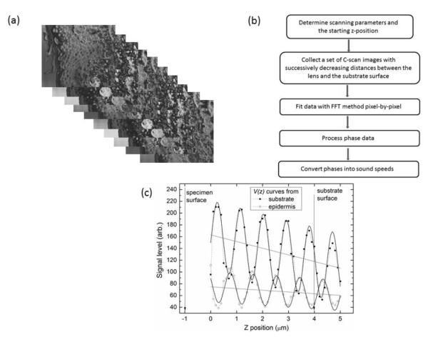 Fig. 2