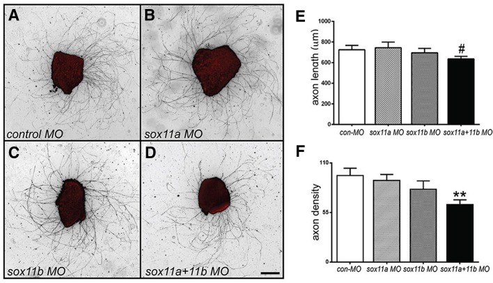 Fig. 7