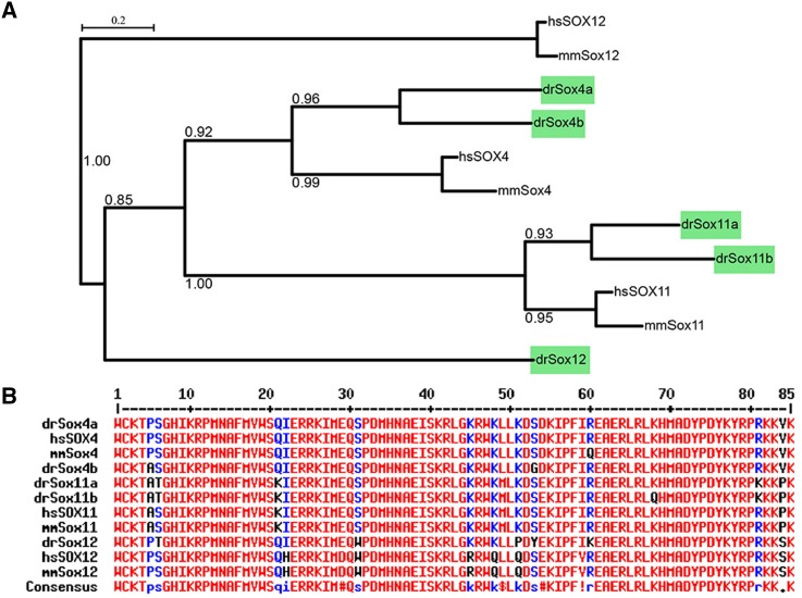 Fig. 1