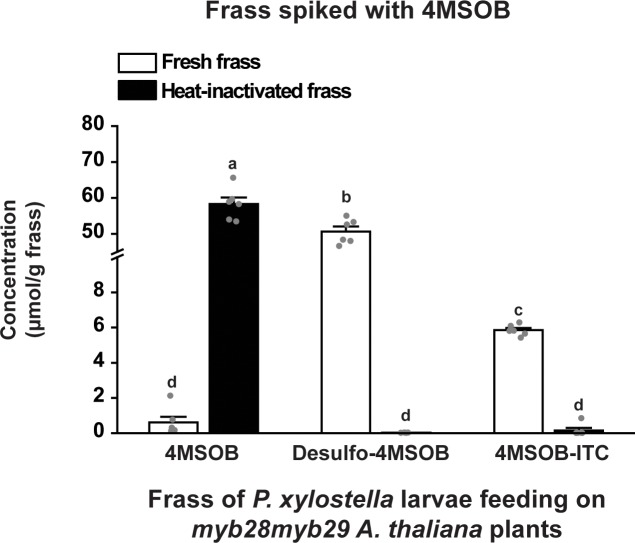 Figure 3—figure supplement 1.