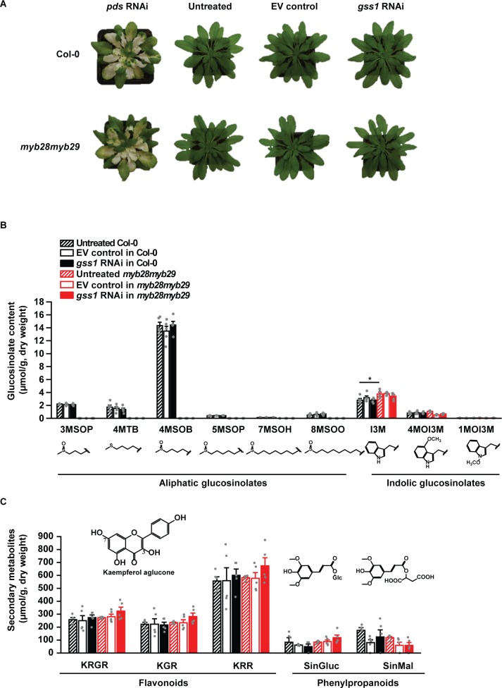 Figure 1—figure supplement 3.