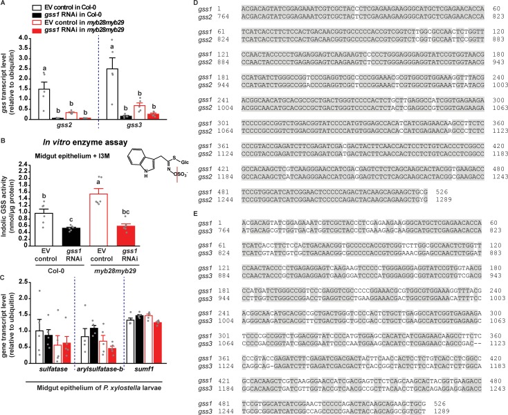 Figure 1—figure supplement 4.