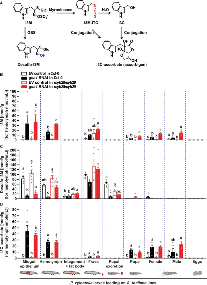 Figure 3—figure supplement 2.