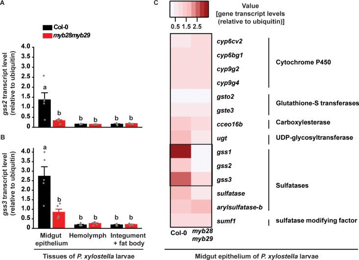 Figure 1—figure supplement 1.