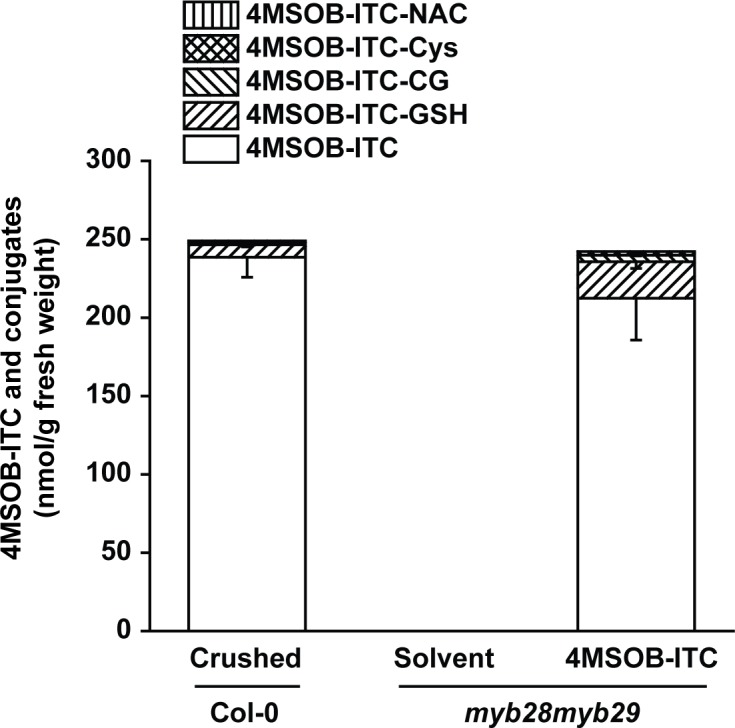 Figure 4—figure supplement 1.