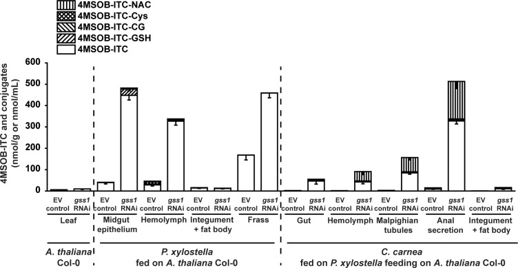 Figure 5—figure supplement 1.