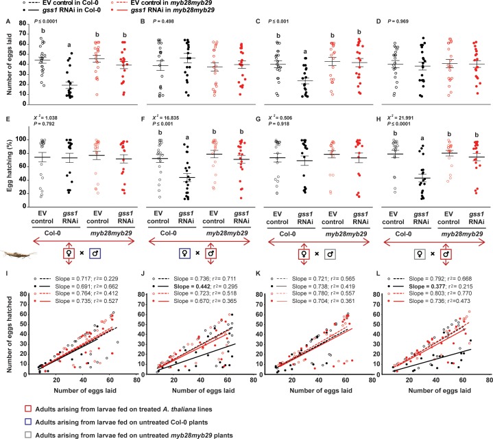 Figure 2—figure supplement 2.