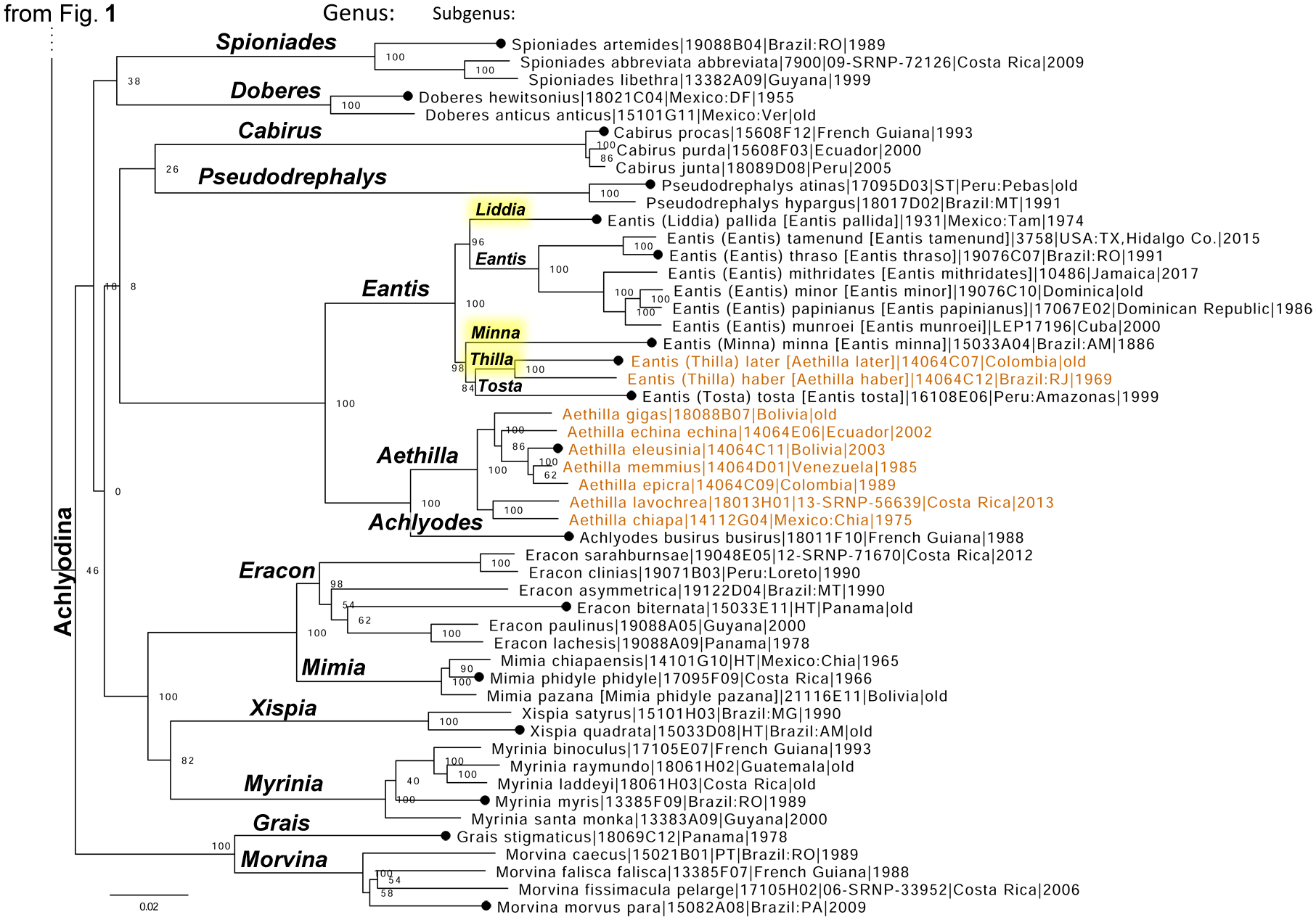 Figure 3.