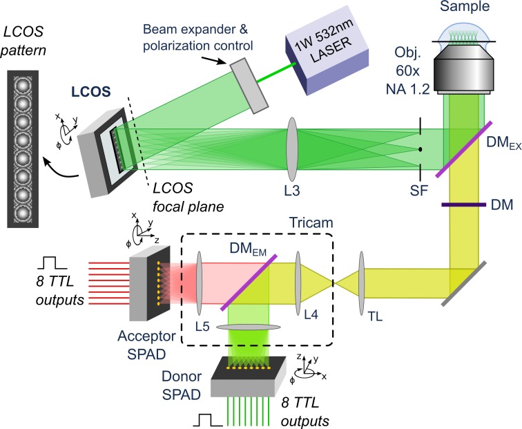 Fig 1