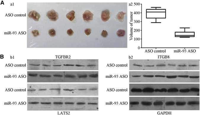 Figure 6