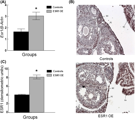 FIG. 1.