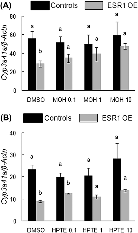 FIG. 10.