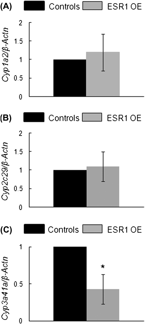 FIG. 11.