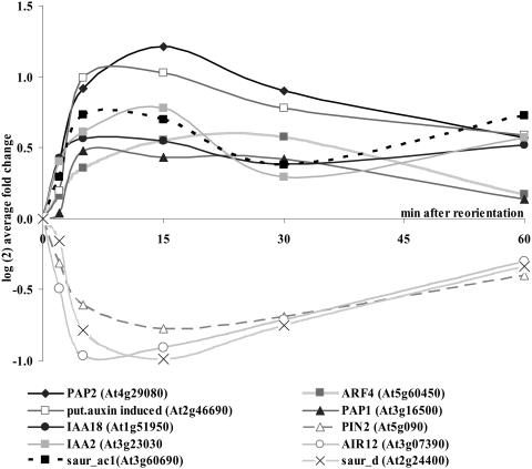 Figure 11.