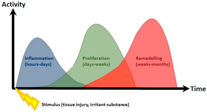 Dextrose prolotherapy in knee osteoarthritis: A systematic review and ...