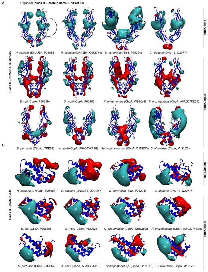 Figure 1—figure supplement 2.