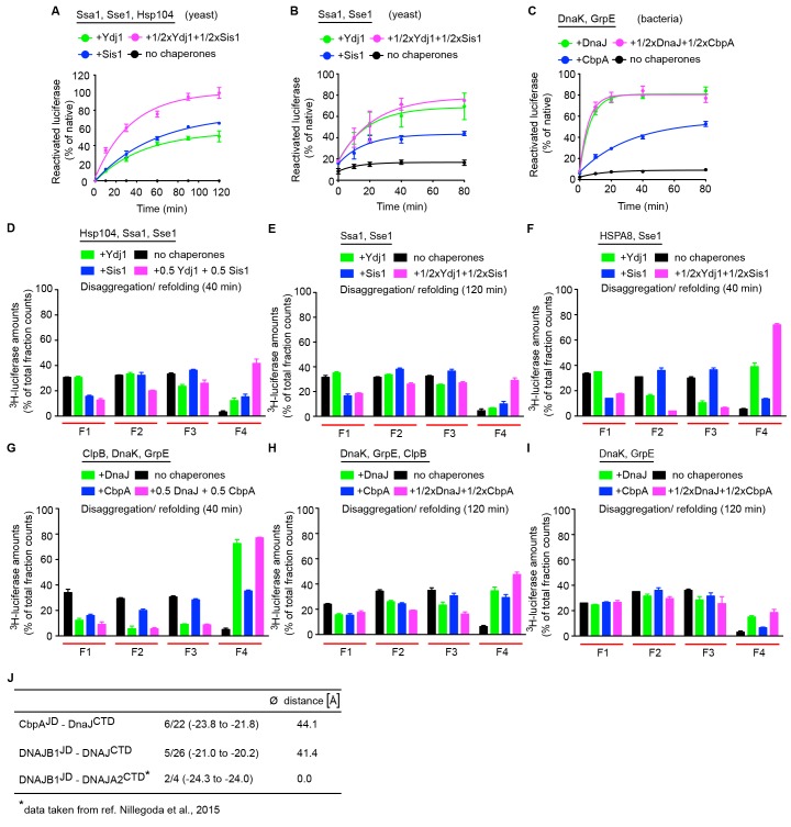 Figure 4—figure supplement 1.