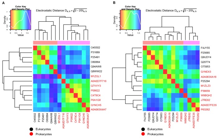 Figure 1—figure supplement 3.