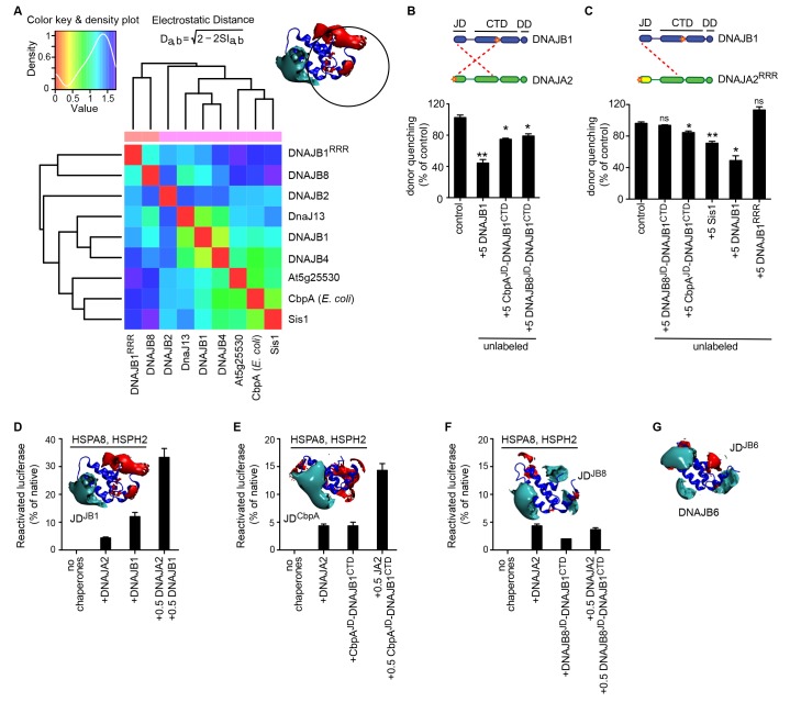 Figure 5—figure supplement 1.