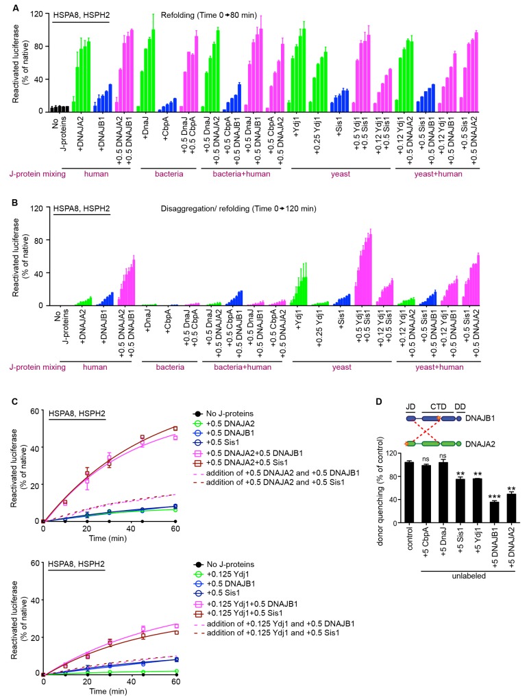 Figure 4—figure supplement 2.