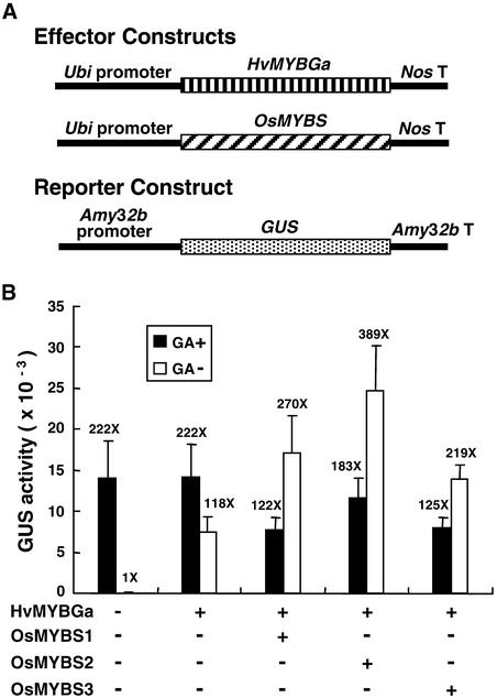 Figure 10.