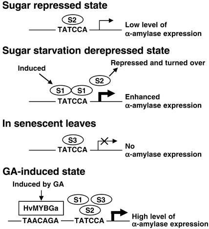 Figure 12.