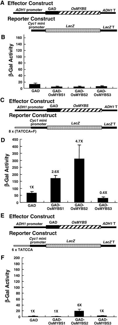 Figure 6.