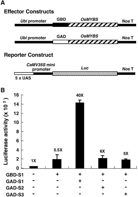 Figure 11.