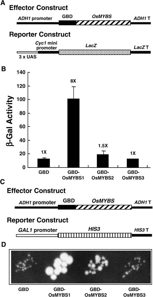 Figure 7.