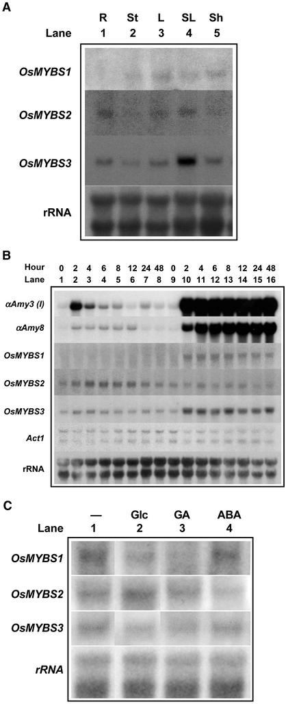 Figure 3.