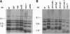 F<sc>igure</sc> 1.—